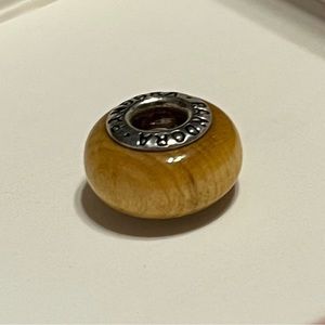 Pandora Bracelet Charm